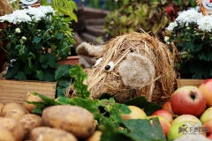 092515_18_438X0A9159