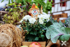 092515_18_488X0A9160