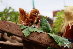 092515_19_028X0A9161