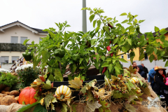 092515_19_198X0A9163