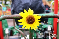 092515_41_048X0A9167