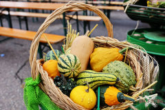 092515_41_308X0A9169