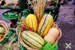 092515_41_348X0A9170