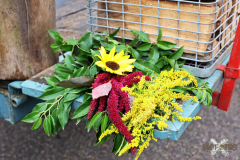 092515_44_428X0A9177