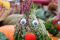 092515_46_048X0A9179