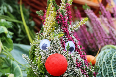 092515_46_138X0A9181