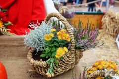 092515_46_438X0A9184