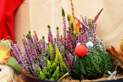 092515_47_018X0A9186