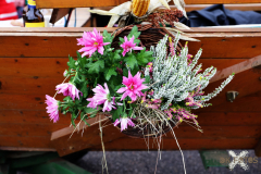 092515_48_258X0A9193