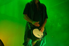 Faun_MPSLuhmuehlen2025_001
