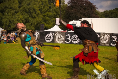 Fictum_MPSBuebu22025_010