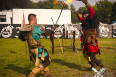 Fictum_MPSBuebu22025_011