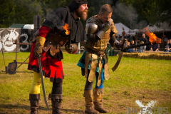 Fictum_MPSBuebu22025_017