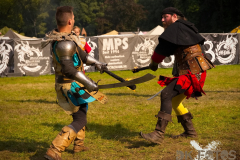 Fictum_MPSBuebu22025_019