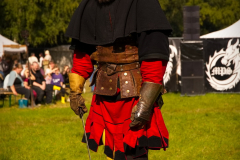 Fictum_MPSBuebu22025_022