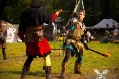 Fictum_MPSBuebu22025_023