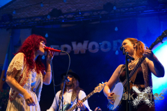 Redwood120426_05