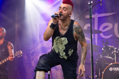 FuchsteufelswildSpeyer240824_0005