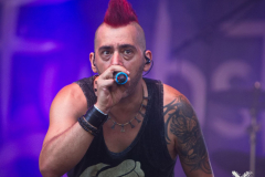 FuchsteufelswildSpeyer240824_0011