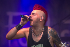 FuchsteufelswildSpeyer240824_0012