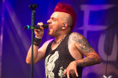 FuchsteufelswildSpeyer240824_0017