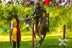 GaudiumSchlossHorst2026_Reiter_11