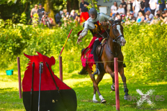 GaudiumSchlossHorst2026_Reiter_14