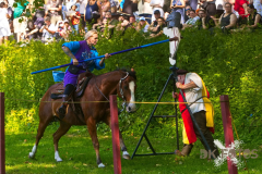 GaudiumSchlossHorst2026_Reiter_18