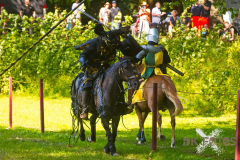 GaudiumSchlossHorst2026_Reiter_22