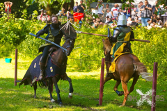 GaudiumSchlossHorst2026_Reiter_25