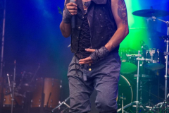 Harpyie270724_0017