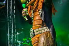 Heavysaurus_MPSLuhmuehlen2025_011