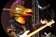 Heavysaurus_MPSLuhmuehlen2025_025