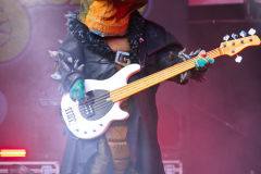 Heavysaurus_MPSLuhmuehlen2025_029