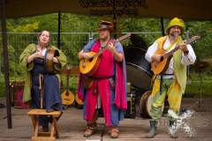 HeiterbisFolkig_MPSBuebu22025_008