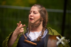 HeiterbisFolkig_MPSBuebu22025_014