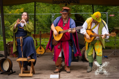 HeiterbisFolkig_MPSBuebu22025_021