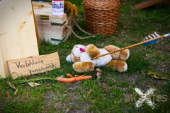 Markt_AnnoTelgte2025_060