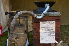 Markt_AnnoTelgte2025_064