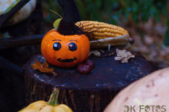 AnnoSamhain2025_Markt_03