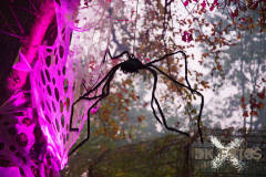 AnnoSamhain2025_Markt_04