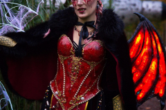 AnnoSamhain2025_Markt_06