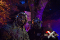 AnnoSamhain2025_Markt_12