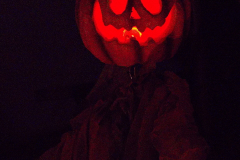 AnnoSamhain2025_Markt_21