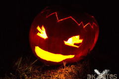 AnnoSamhain2025_Markt_23