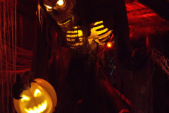 AnnoSamhain2025_Markt_25