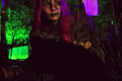 AnnoSamhain2025_Markt_42