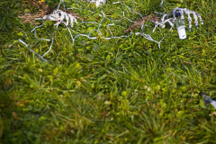 AnnoSamhain2025_Markt_65