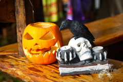 AnnoSamhain2025_Markt_70