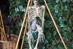 AnnoSamhain2025_Markt_74